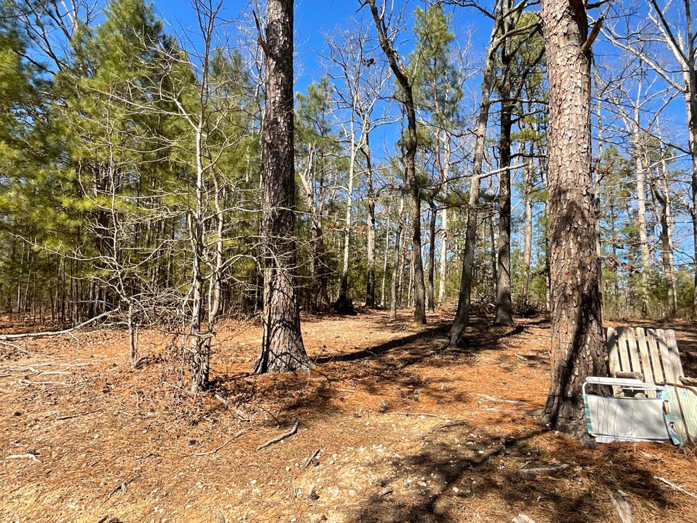 Image for Lake House and Two Lots on Kerr Lake in Clarksville, VA!