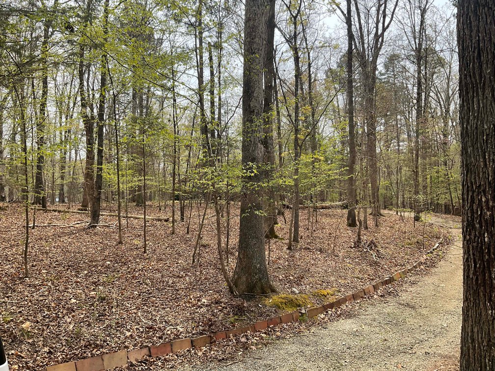 Image for Lake House and Two Lots on Kerr Lake in Clarksville, VA!