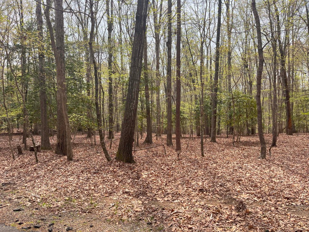 Image for Lake House and Two Lots on Kerr Lake in Clarksville, VA!