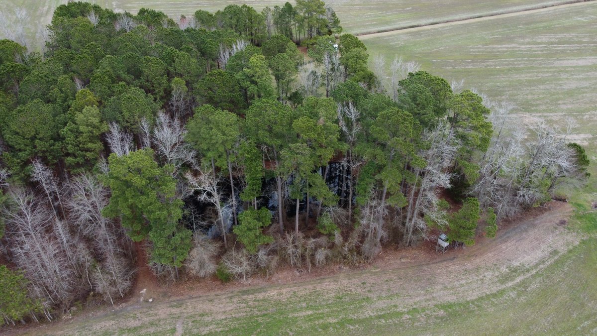 Image for The John J. Madura Estate (deceased) Cumberland County  Real Estate Auction!  65 + acres divided and a Home!