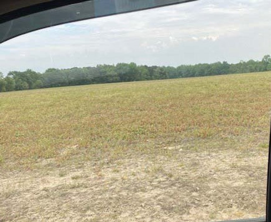 Image for Multiple Tracts offered throughout Harnett County at Absolute Auction!
