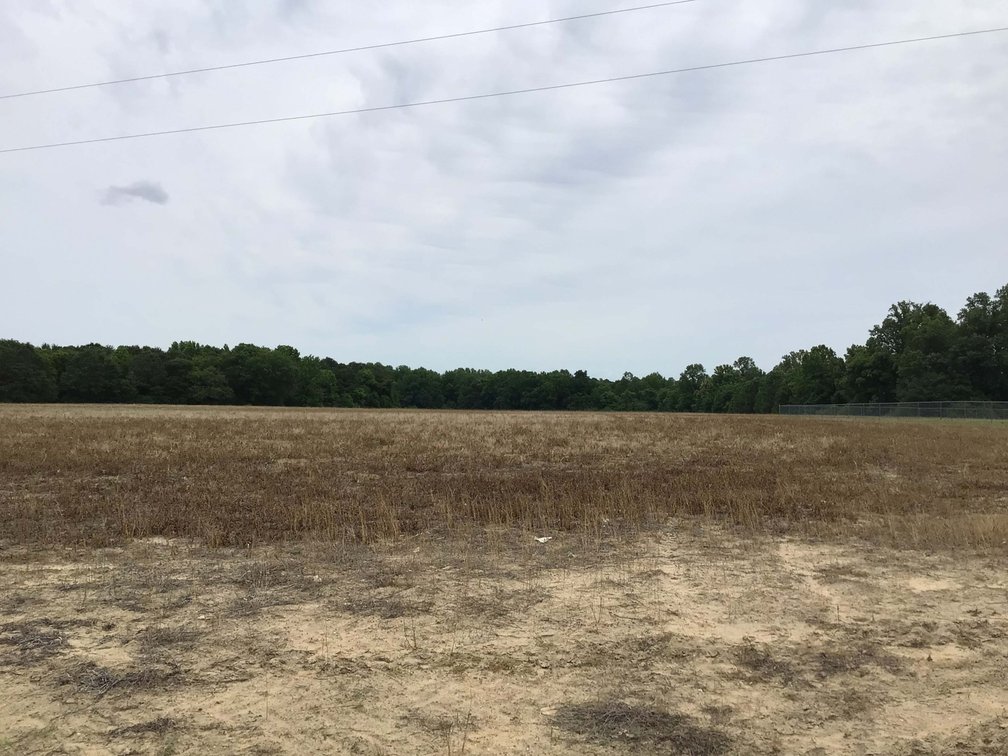 Image for Multiple Tracts offered throughout Harnett County at Absolute Auction!