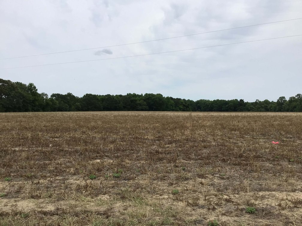 Image for Multiple Tracts offered throughout Harnett County at Absolute Auction!