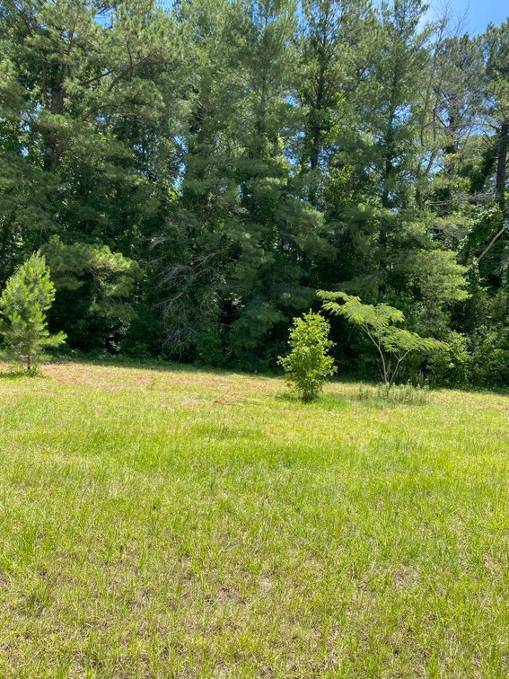 Image for 68+ Acres divided into 8 tracts being sold at Absolute Auction in Southern Harnett County!