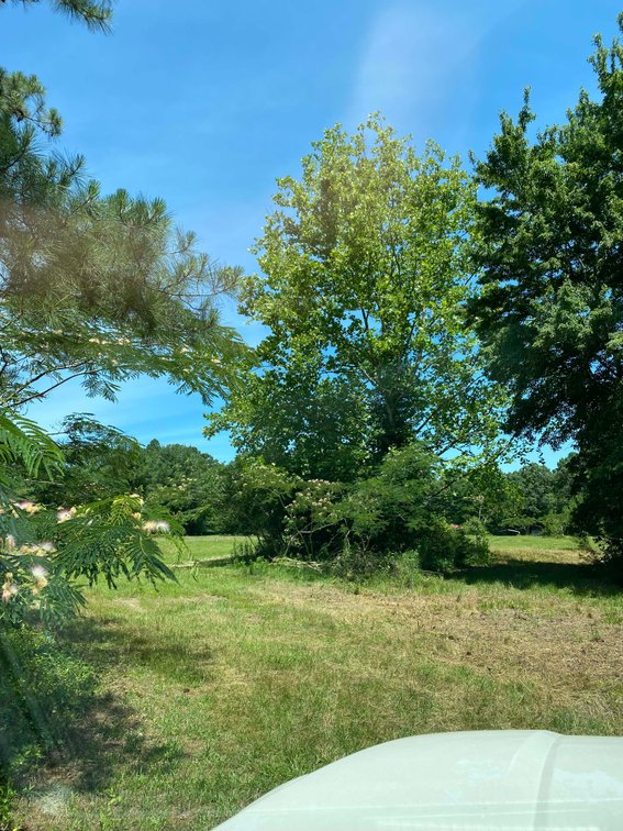Image for 68+ Acres divided into 8 tracts being sold at Absolute Auction in Southern Harnett County!