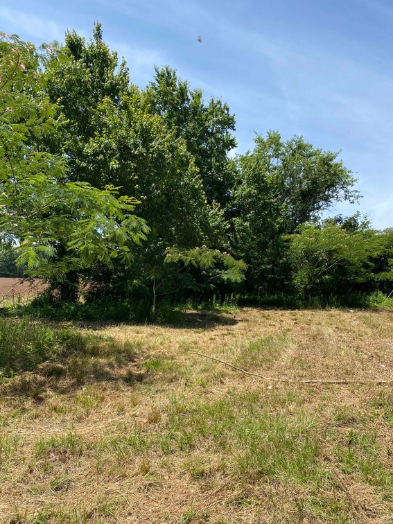 Image for 68+ Acres divided into 8 tracts being sold at Absolute Auction in Southern Harnett County!