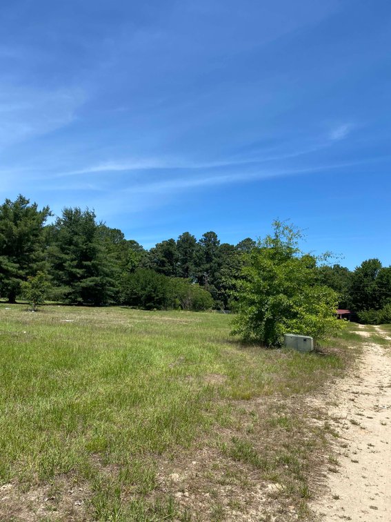 Image for 68+ Acres divided into 8 tracts being sold at Absolute Auction in Southern Harnett County!