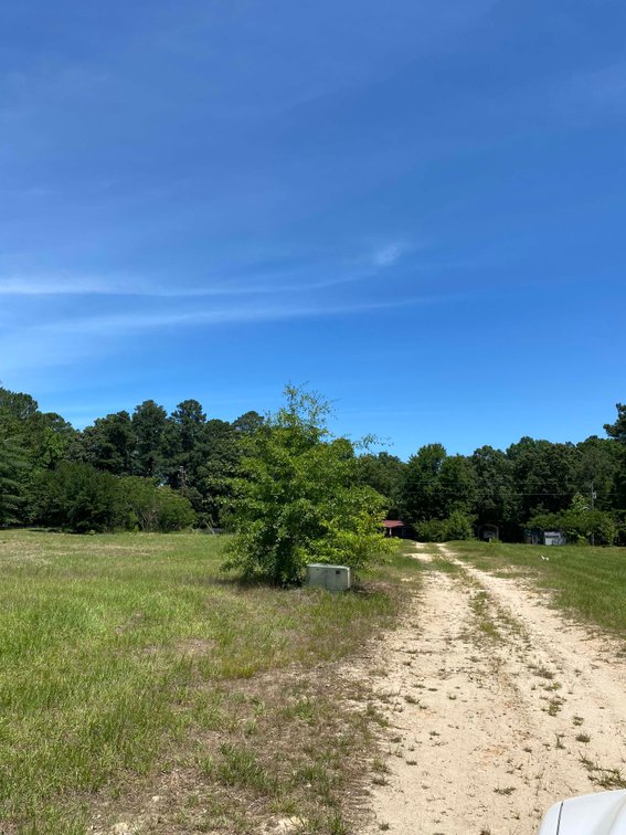 Image for 68+ Acres divided into 8 tracts being sold at Absolute Auction in Southern Harnett County!