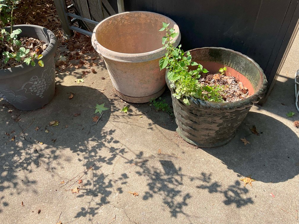 Image for Online Only Estate Auction out of Selma, NC