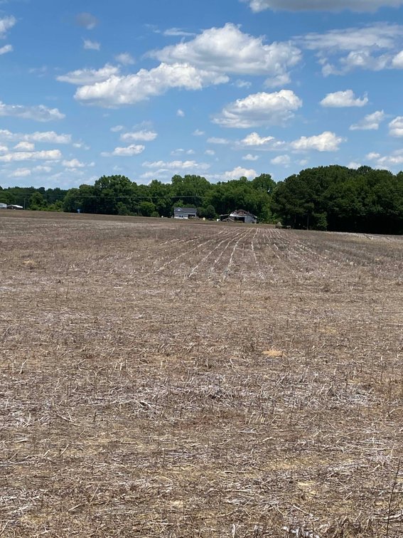 Image for Multiple Tracts offered throughout Harnett County at Absolute Auction!