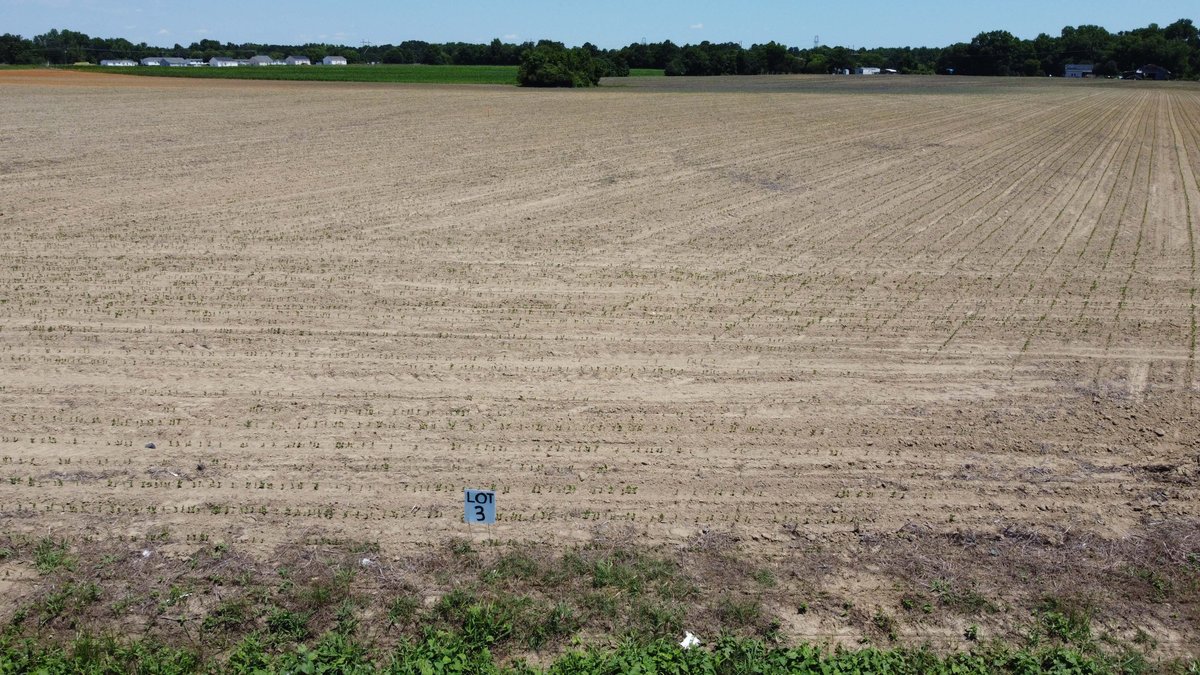 Image for Multiple Tracts offered throughout Harnett County at Absolute Auction!
