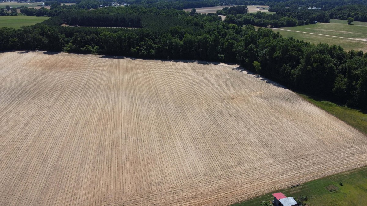 Image for Multiple Tracts offered throughout Harnett County at Absolute Auction!