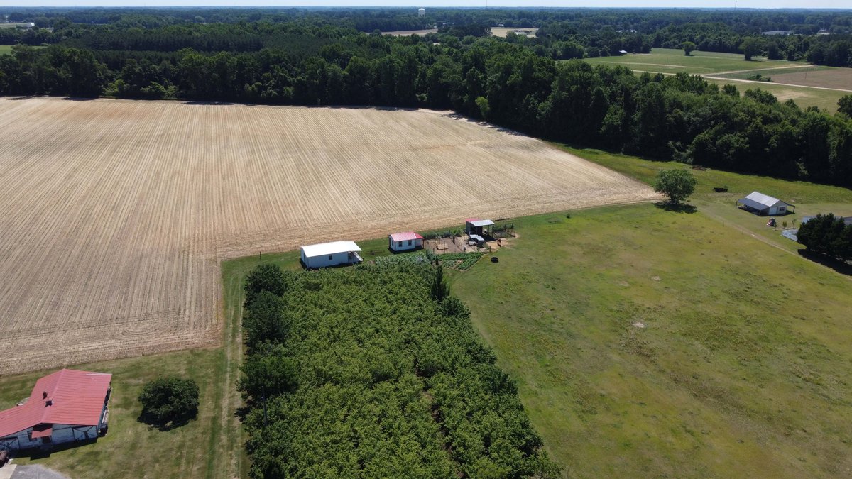 Image for Multiple Tracts offered throughout Harnett County at Absolute Auction!