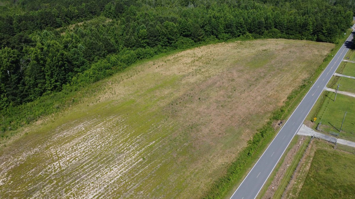 Image for 75 plus acres in Sampson County!