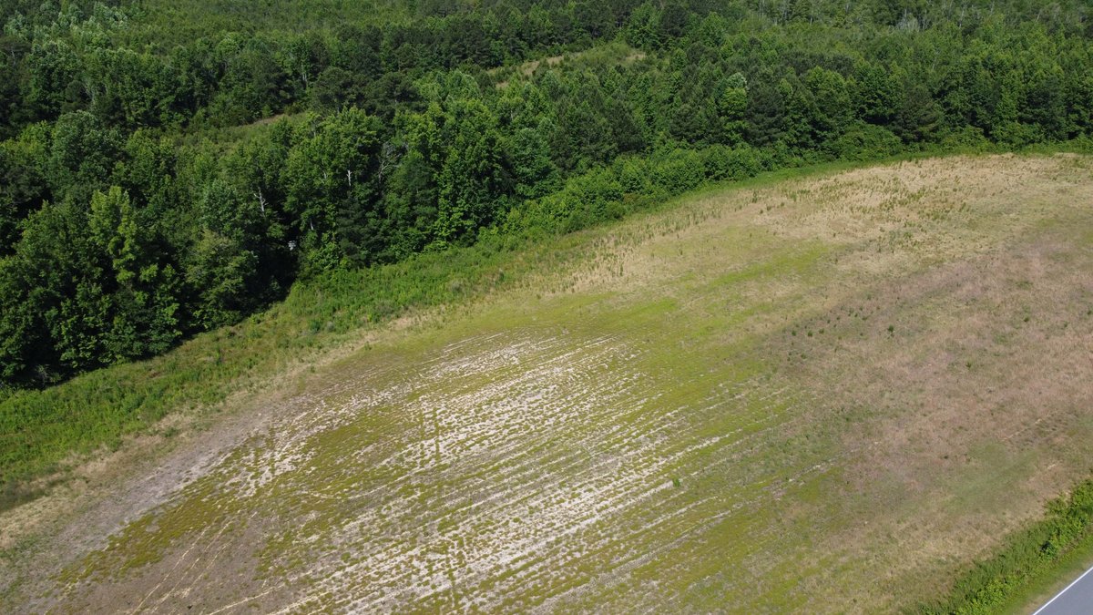 Image for 75 plus acres in Sampson County!