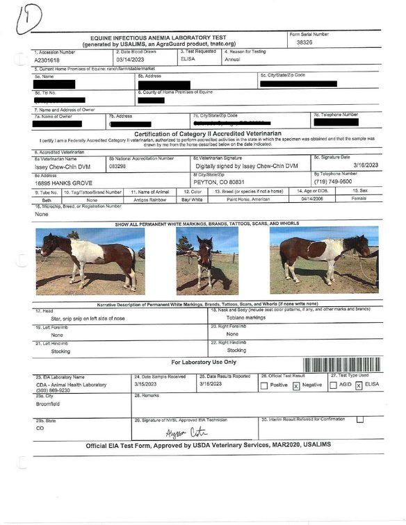 Image for Auction of 7 Horses!
