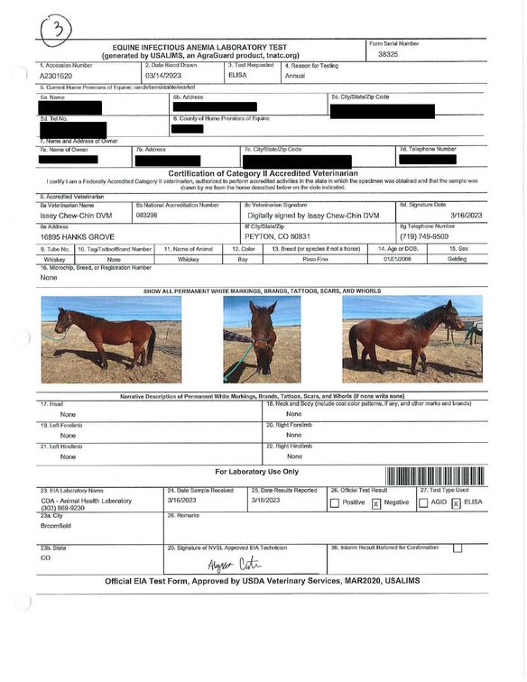 Image for Auction of 7 Horses!
