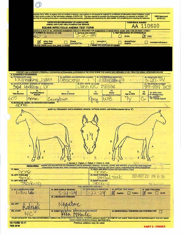 Image for Auction of 7 Horses!