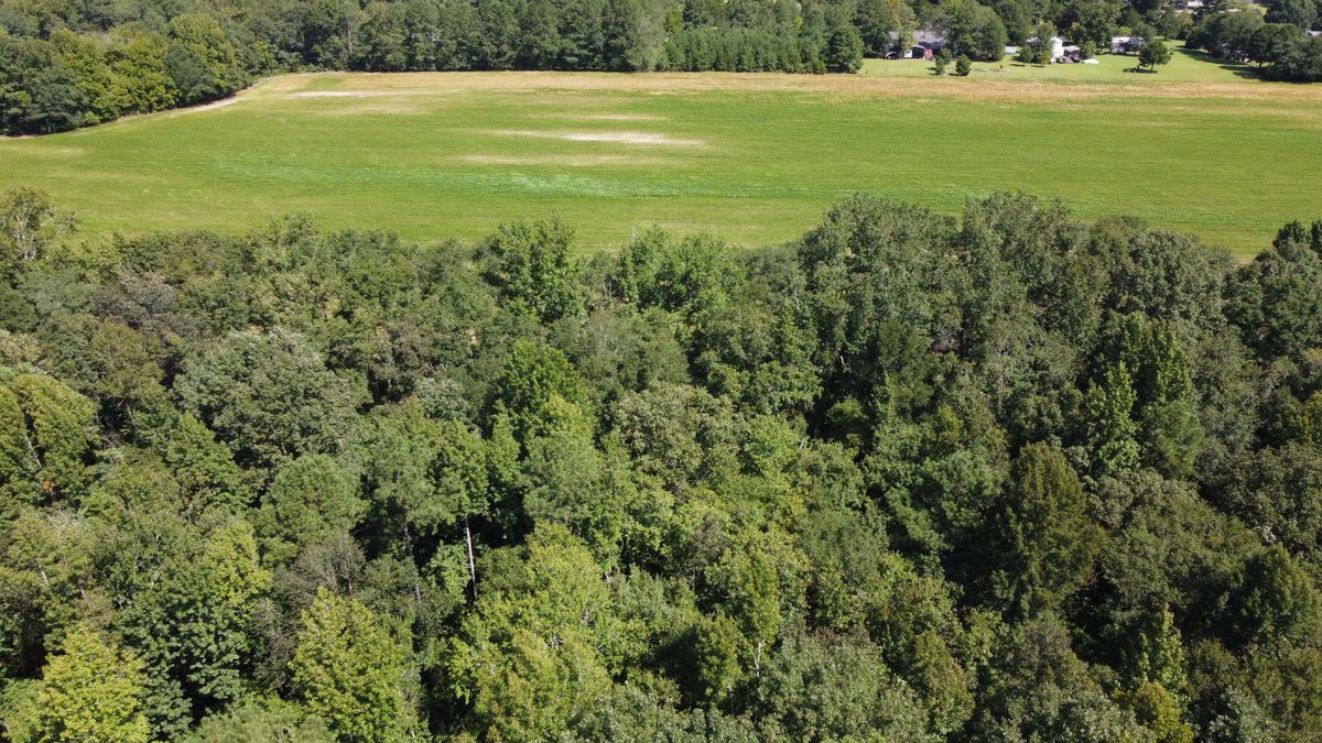 Image for 68+ Acres divided into 8 tracts being sold at Absolute Auction in Southern Harnett County!