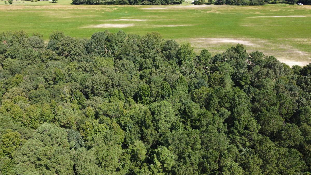 Image for 68+ Acres divided into 8 tracts being sold at Absolute Auction in Southern Harnett County!