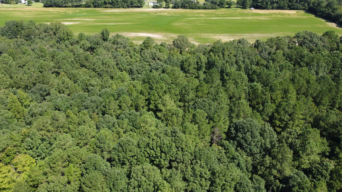 Image for 68+ Acres divided into 8 tracts being sold at Absolute Auction in Southern Harnett County!