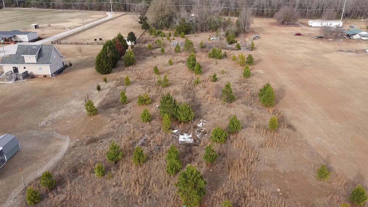 Image for Over 7 acres with a Manufactured Home Selling at Public Auction in Harnett County on 1530 Clark Road, Lillington, NC.