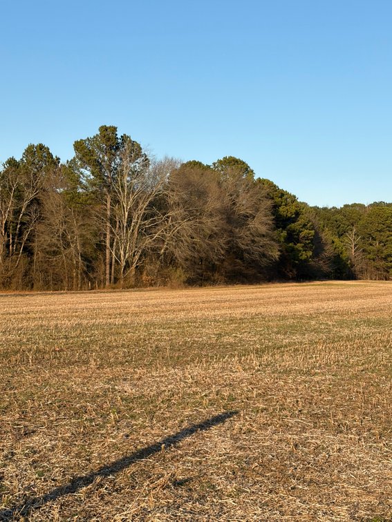 Image for Beautiful Tracts of Land between Coats and Dunn to be Divided!