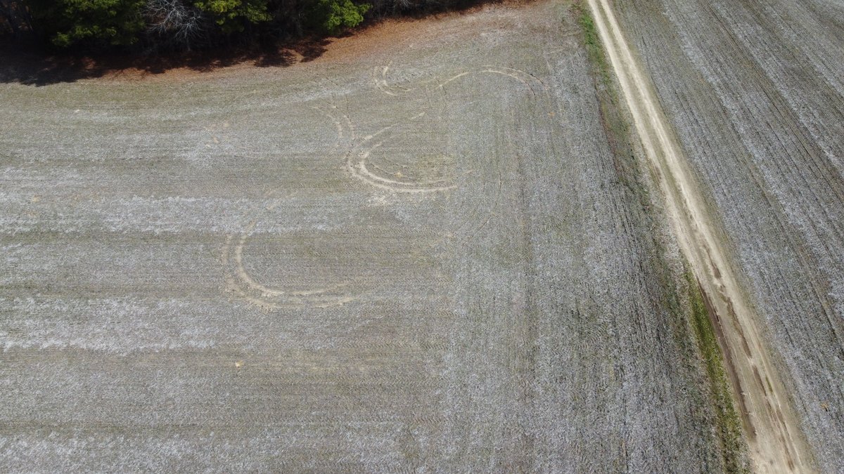 Image for Beautiful Tracts of Land between Coats and Dunn to be Divided!