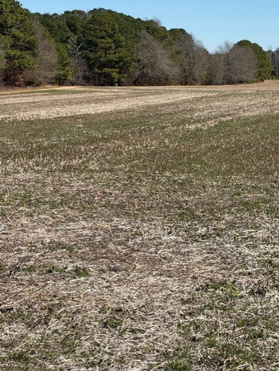 Image for Beautiful Tracts of Land between Coats and Dunn to be Divided!