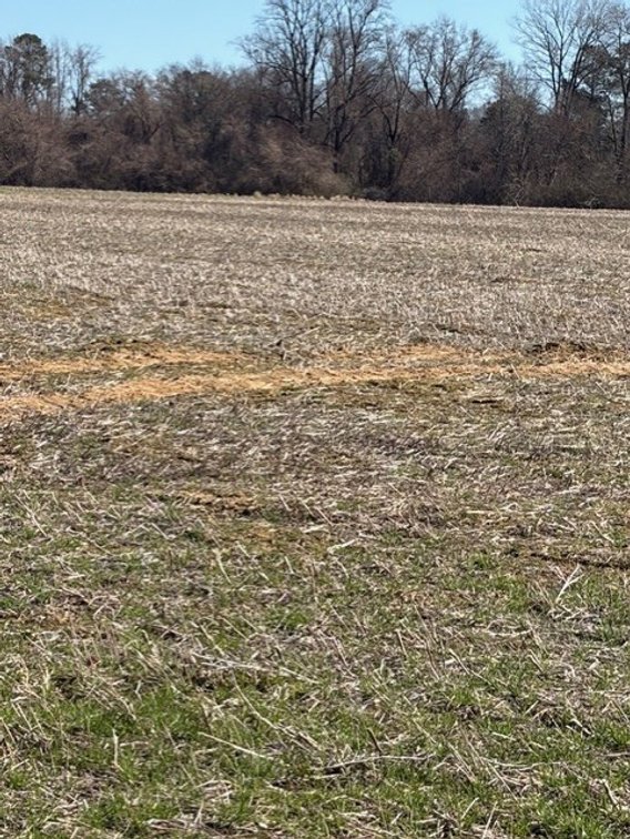 Image for Beautiful Tracts of Land between Coats and Dunn to be Divided!