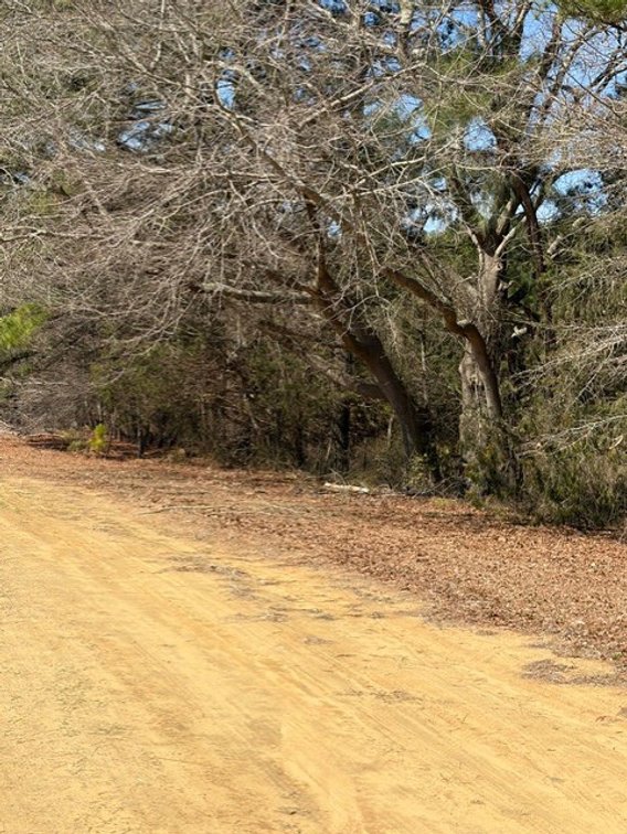 Image for Beautiful Tracts of Land between Coats and Dunn to be Divided!