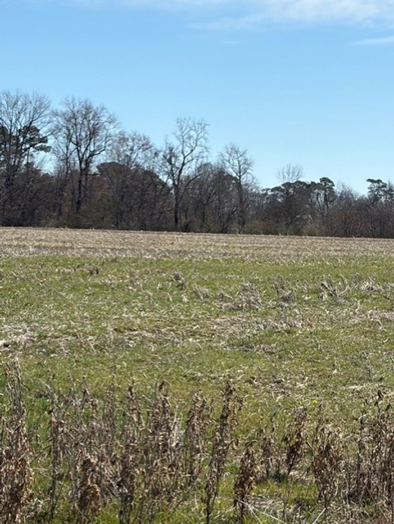 Image for Beautiful Tracts of Land between Coats and Dunn to be Divided!