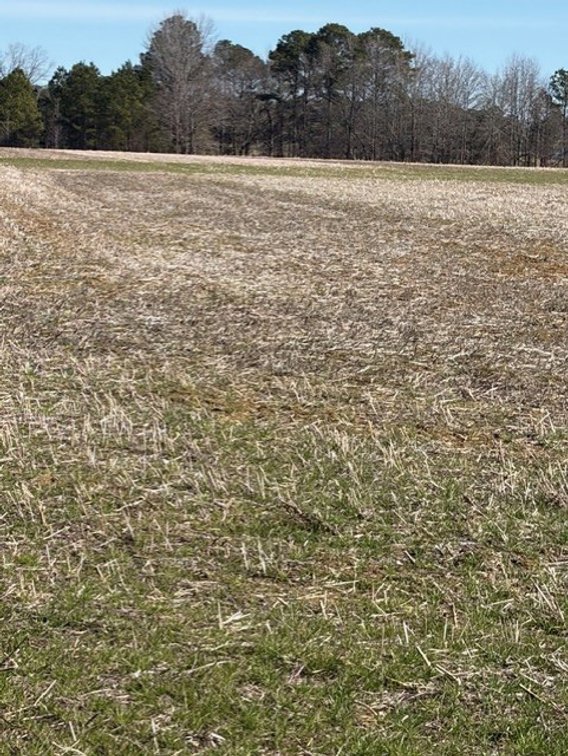 Image for Beautiful Tracts of Land between Coats and Dunn to be Divided!