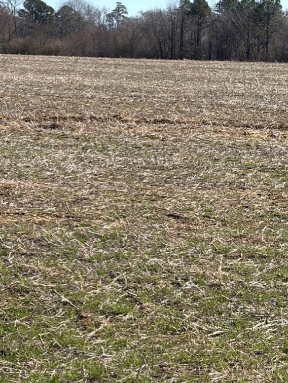 Image for Beautiful Tracts of Land between Coats and Dunn to be Divided!