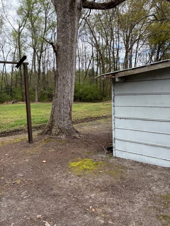 Image for Home on 4.25 acres in Angier!