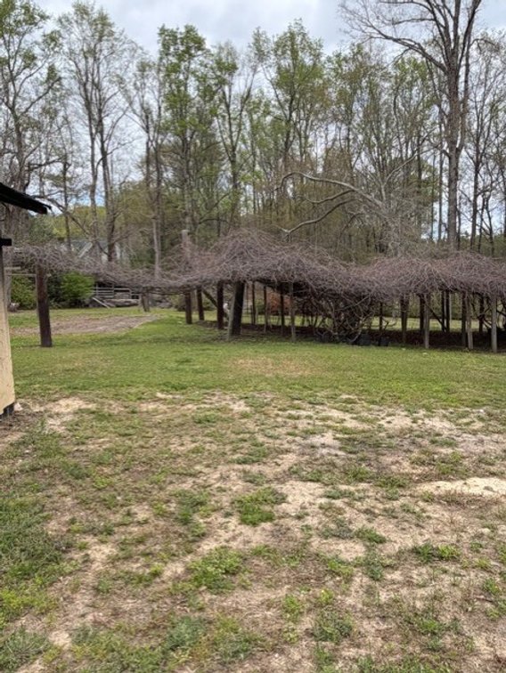 Image for Home on 4.25 acres in Angier!