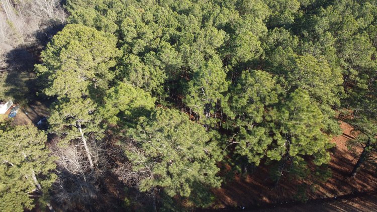 Image for 44.64 acres in Harnett County divided into 8 tracts!