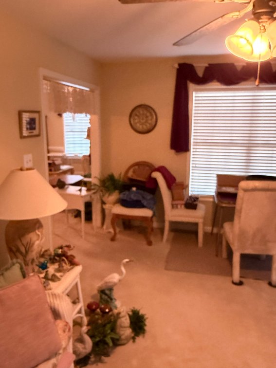 Image for Online/Live/Simulcast Auction Single Family, One Level Townhome in Angier!