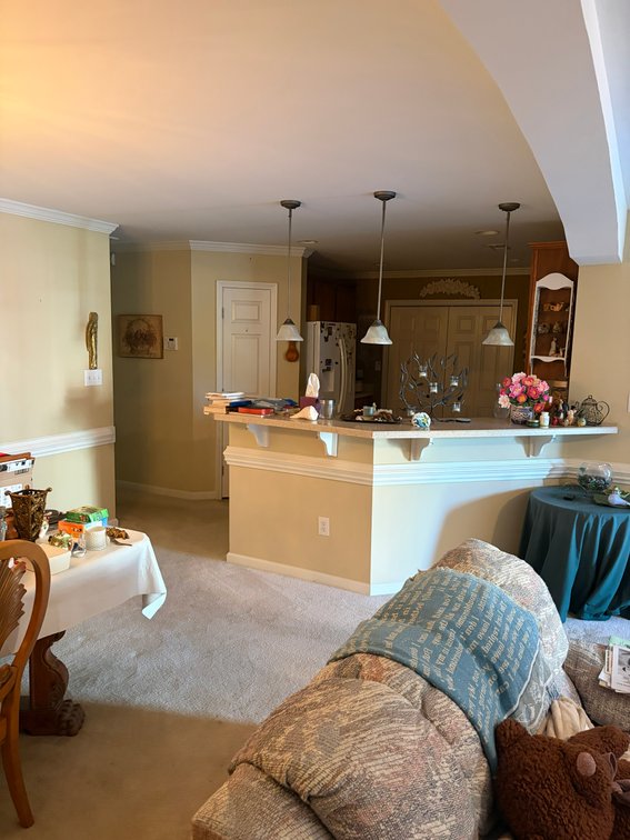Image for Online/Live/Simulcast Auction Single Family, One Level Townhome in Angier!