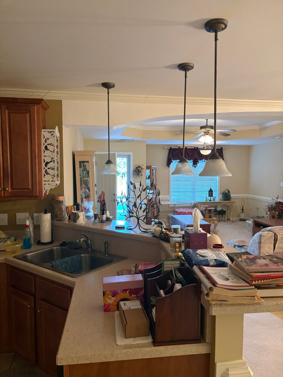 Image for Online/Live/Simulcast Auction Single Family, One Level Townhome in Angier!