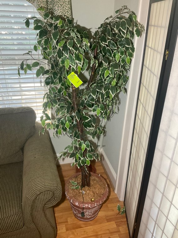 Image for Online Only Personal Property Auction in Dunn!