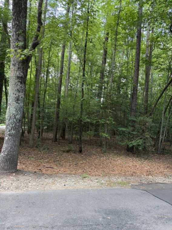 Image for Single Family home and a vacant lot in Carolina Trace!