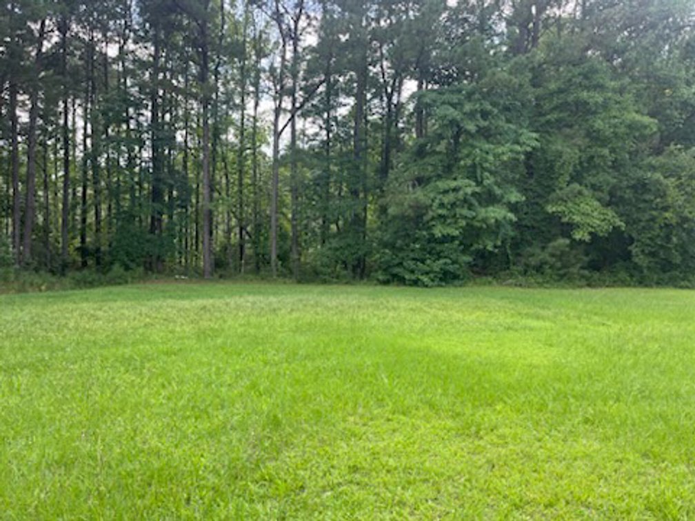 Image for Country Living Awaits – Happy Trails Simulcast Auction
