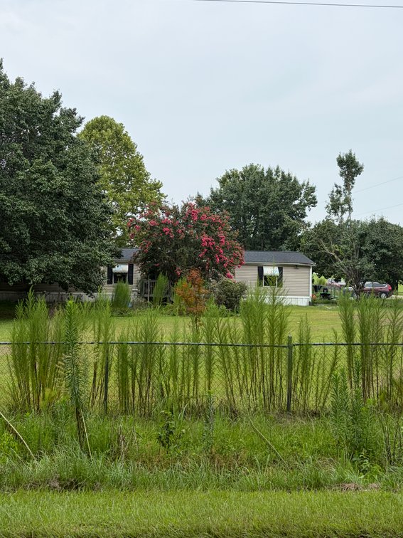 Image for Manufactured Home on 1 Acre in Clayton!