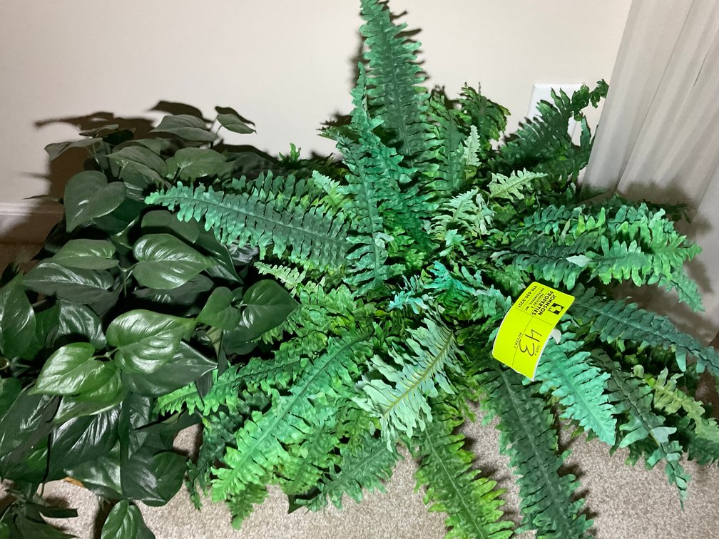 Image for Online Only Personal Property Auction in Fayetteville!