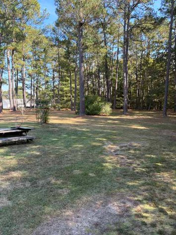 Image for Ranch Style home in Wayne County and 4+ acres divided!