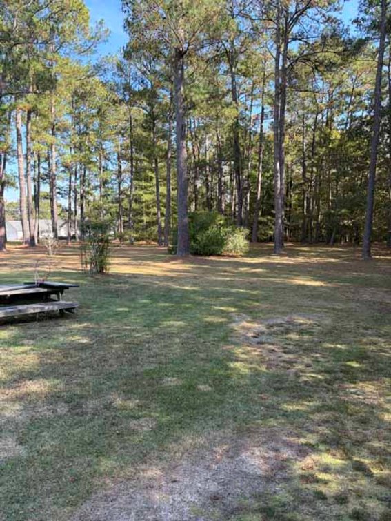 Image for Ranch Style home in Wayne County and 4+ acres divided!
