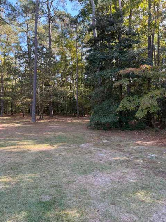 Image for Ranch Style home in Wayne County and 4+ acres divided!