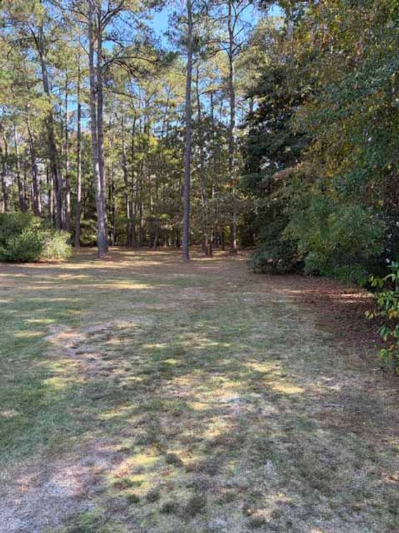Image for Ranch Style home in Wayne County and 4+ acres divided!