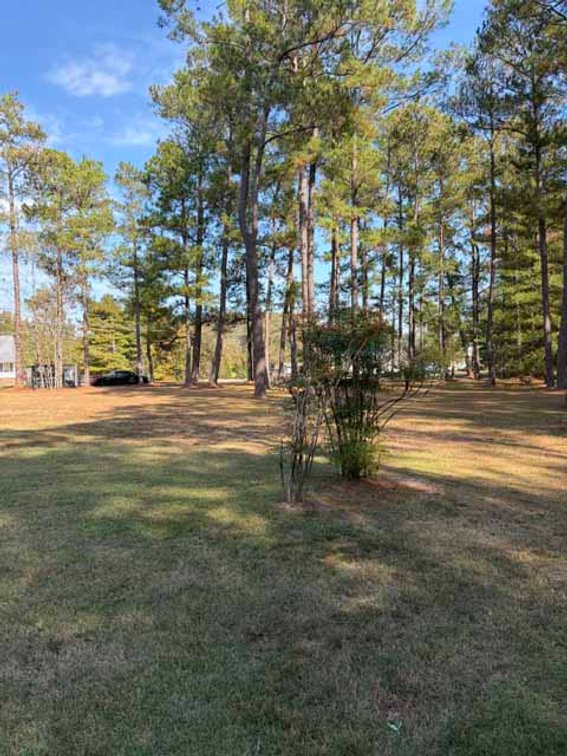 Image for Ranch Style home in Wayne County and 4+ acres divided!